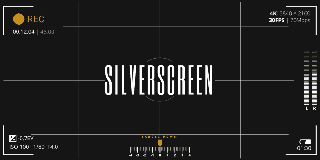 Silverscreen Theme For WordPress