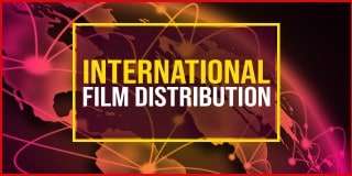 movie distribution course